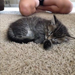 Meet your Posher, Macie